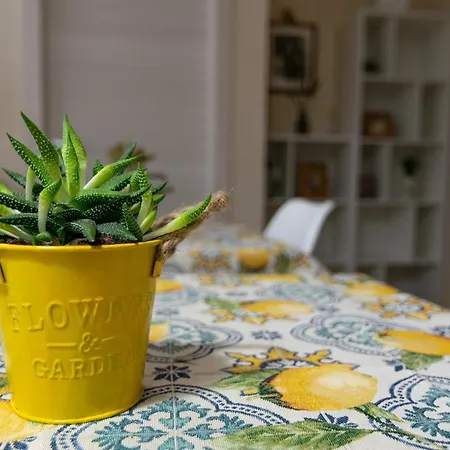 Bed & Breakfast Apollo